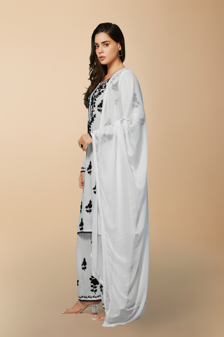 Sara Dupatta - Chiffon with Lace - minazthelabel